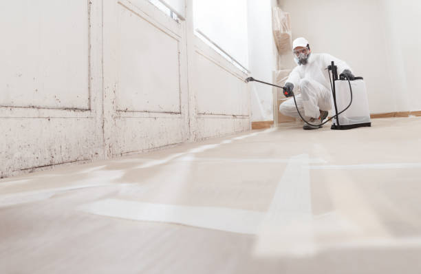 24/7 Emergency Crawl Space Mold Removal experts in Ridgewood, IL